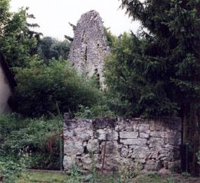 Neidenstein Castle (Ruin)