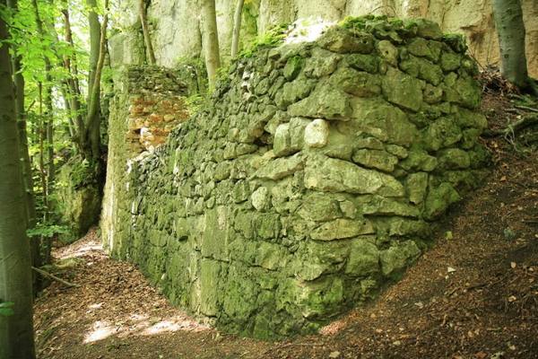 Burgruine Stierberg