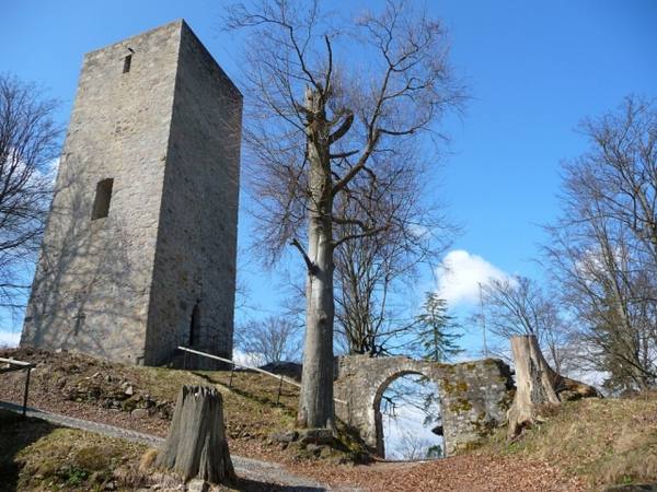 Schwarzenburg Castle (Ruin)