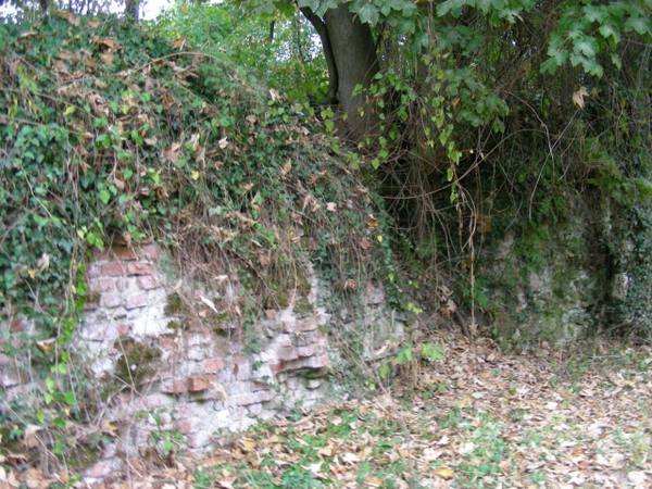 Neuenberg Castle (Ruin) (Rosellerheide)
