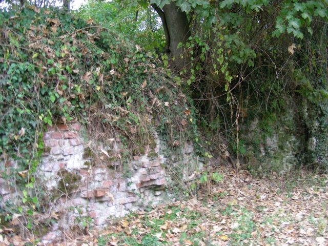 Neuenberg Castle (Ruin) (Rosellerheide)