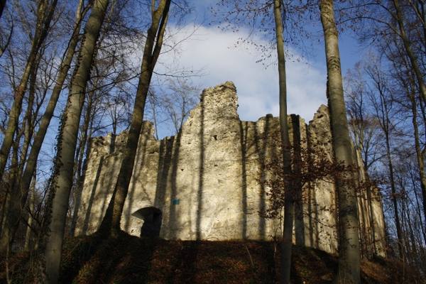Steinhart Castle (Ruin)