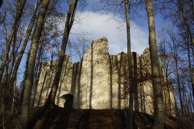 Steinhart Castle (Ruin)