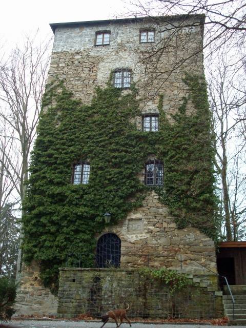 Kaltenstein Castle (Ruin)
