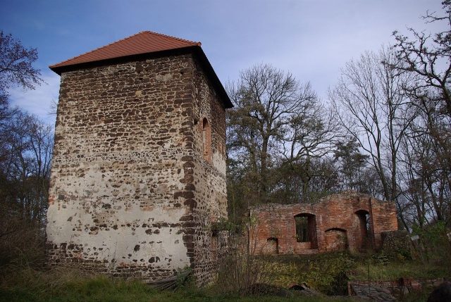 Ruine Bärwalde