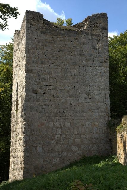 Tachenstein Castle (Ruin)