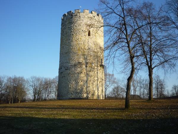 Abbach Castle