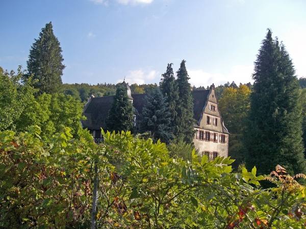 Oberlauterbach Castle