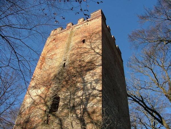 Altenschönegg Castle (Ruin)