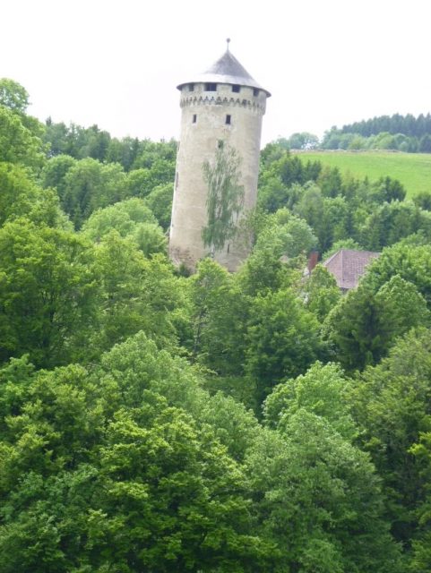 Burg Wildberg