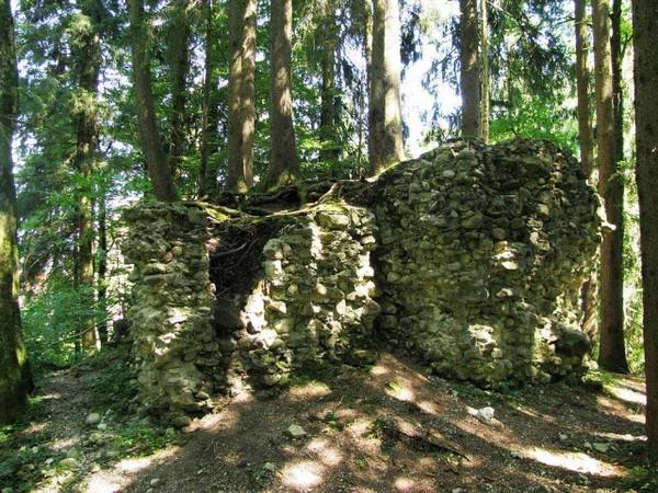 Altenburg Castle (Ruin)