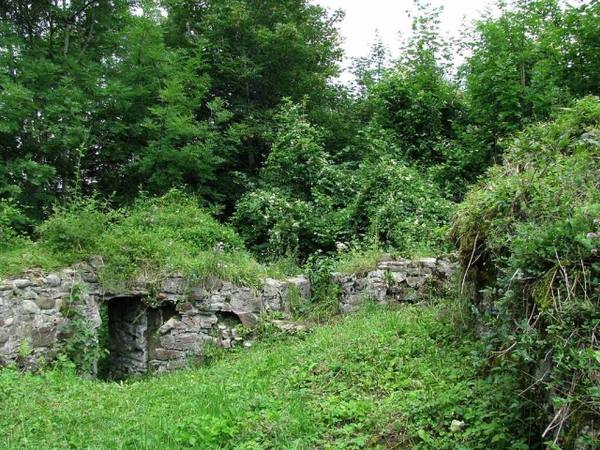 Alt-Laubenberg Castle (Ruin)