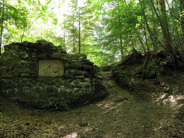Hohenegg Castle (Ruin)