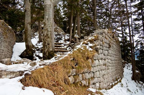 Hohenwaldeck Castle (Ruin)