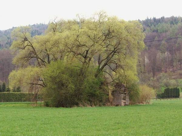 Bacheburg Castle (Ruin)