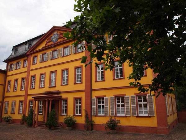 Fürstlich-Leiningensches Palace