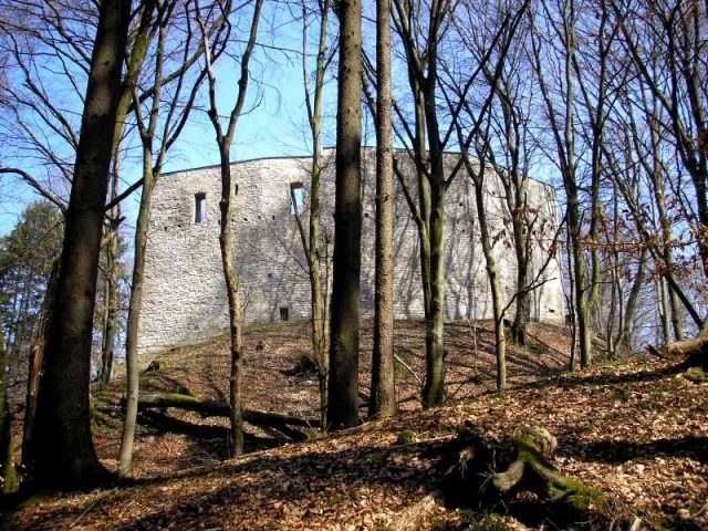 Ruine Alte Burg Neuburg