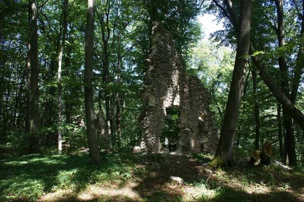 Helfenberg Castle (Ruin)