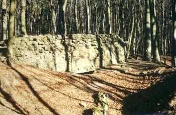Altschauerberg Castle