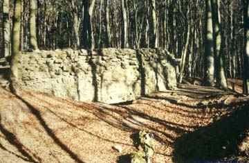 Altschauerberg Castle