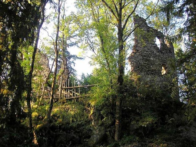 Fluhenstein Castle (Ruin)