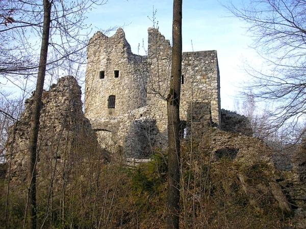 Laubenbergerstein Castle