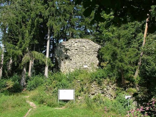 Neuenburg Castle (Ruin)