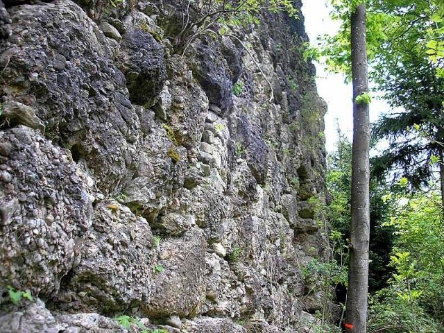 Rauhlaubenberg Castle (Ruin)