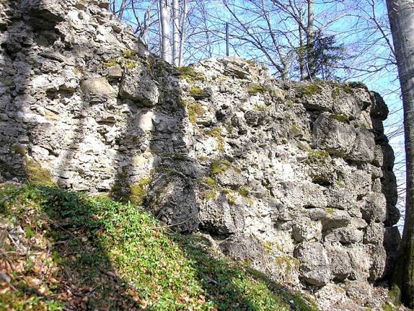 Rothenfels Castle (Ruin)