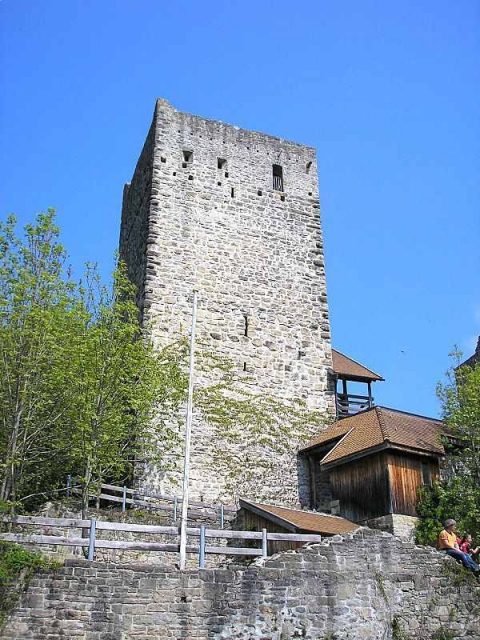 Sulzberg Castle (Ruin)
