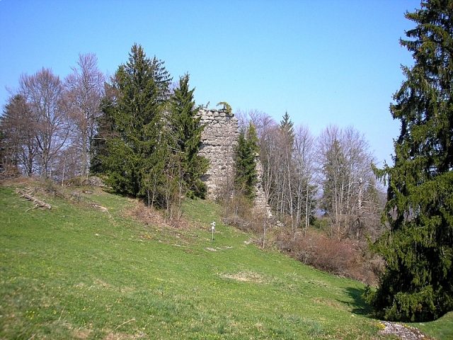 Rettenberg (Vorderburg) Castle (Ruin)