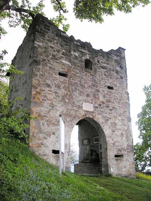 Werdenstein Castle (Ruin)