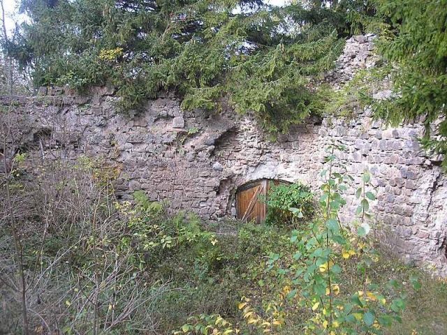 Nesselburg Castle (Ruin)