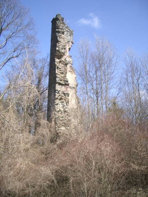 Neujochenstein Castle (Ruin)