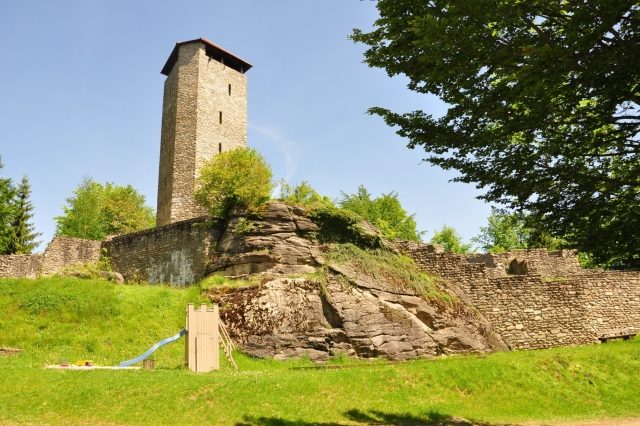 Altnußberg Castle (Ruin)