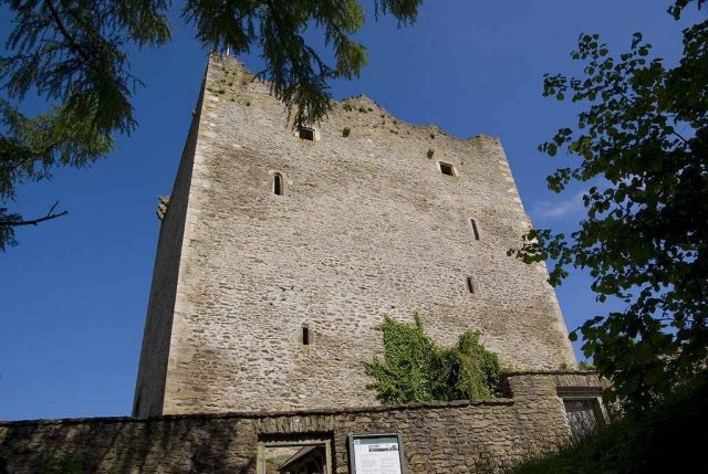 Neunußberg Castle (Ruin)