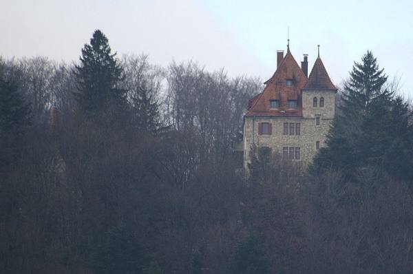Neusteußlingen Castle