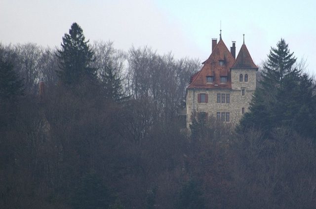 Neusteußlingen Castle