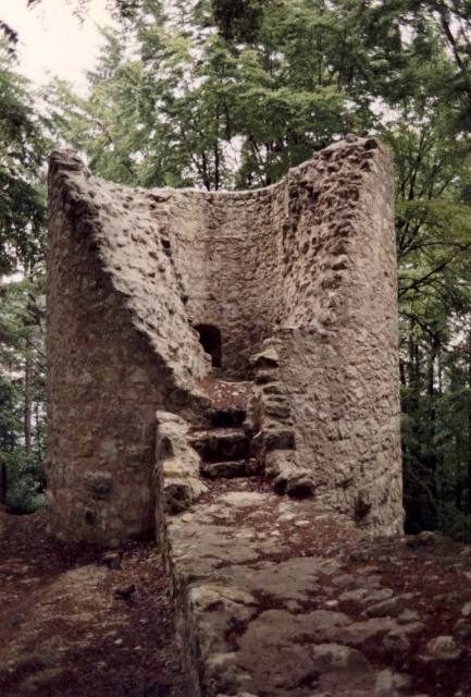 Ehrenfels Castle (Ruin)