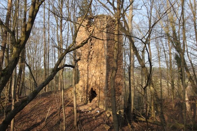 Forstenberg Castle (Ruin)