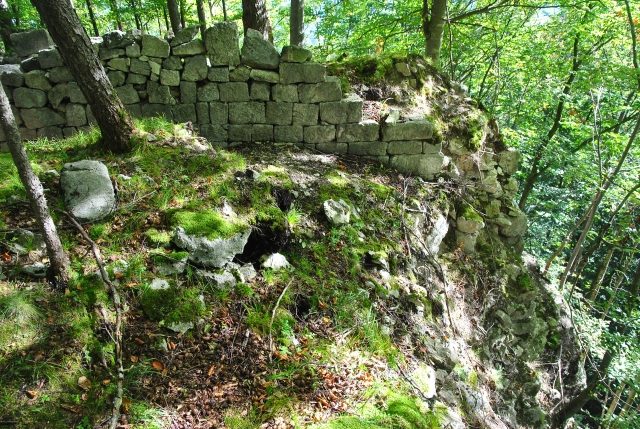 Ober-Falkenstein Castle (Ruin)