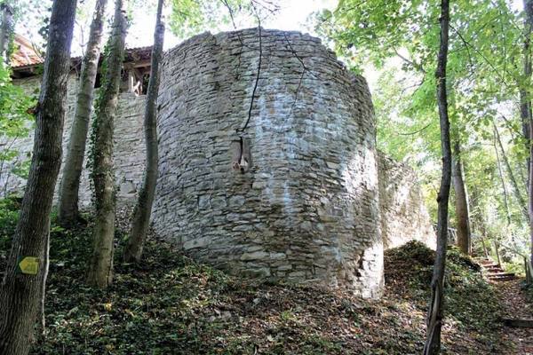 Hofberg Castle (Ruin)