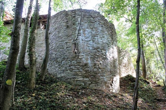 Ruine Hofberg