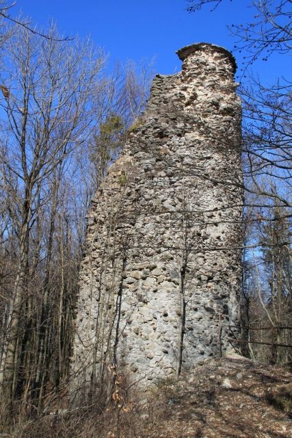 Reichenstein Castle (Ruin)