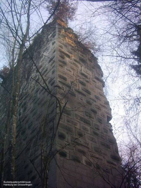 Haimburg Castle (Ruin)