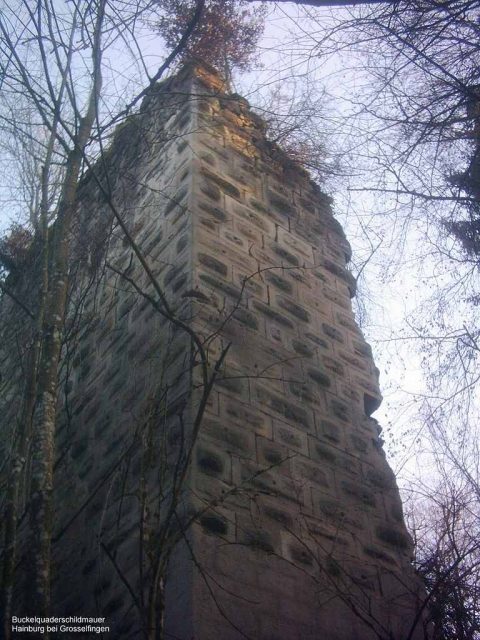 Haimburg Castle (Ruin)