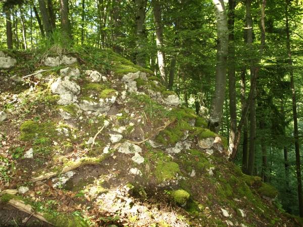 Heersberg Castle (Ruin)