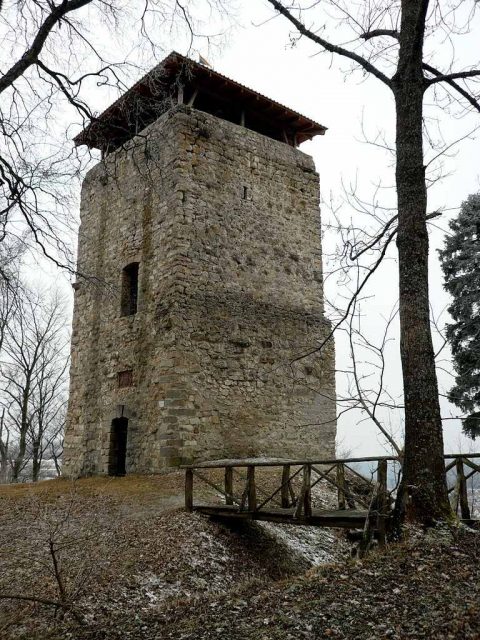 Hohenringingen Castle (Ruin)