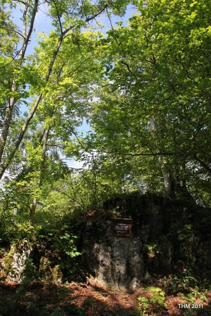 Schalksburg Castle (Ruin)