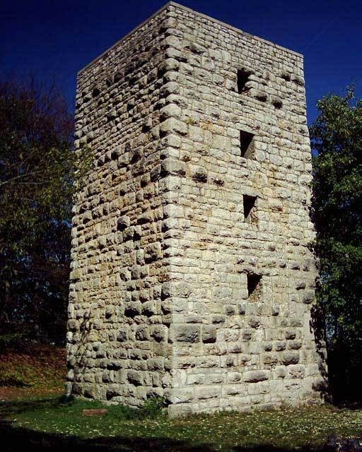 Ruine Schalksburg